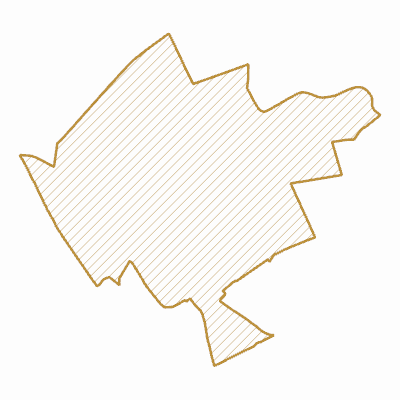 Export Image